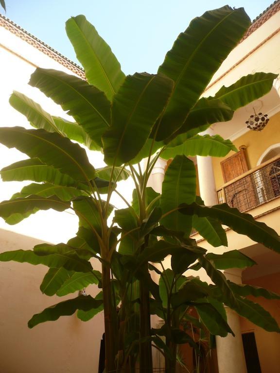 Ker Saada Guest house